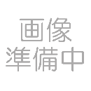 ニルフィスク GWD335用 紙パック (3枚入)