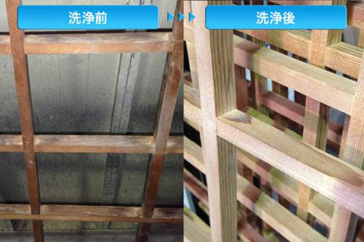 ブラシ　ハブラシ君