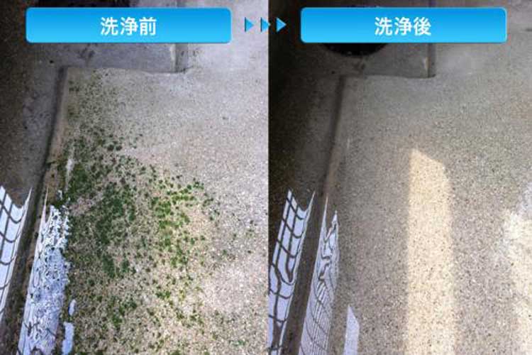 ブラシ　ハブラシ君